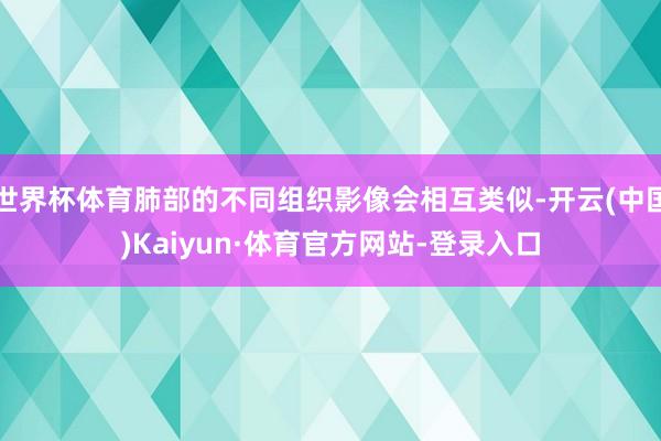 世界杯体育肺部的不同组织影像会相互类似-开云(中国)Kaiyun·体育官方网站-登录入口